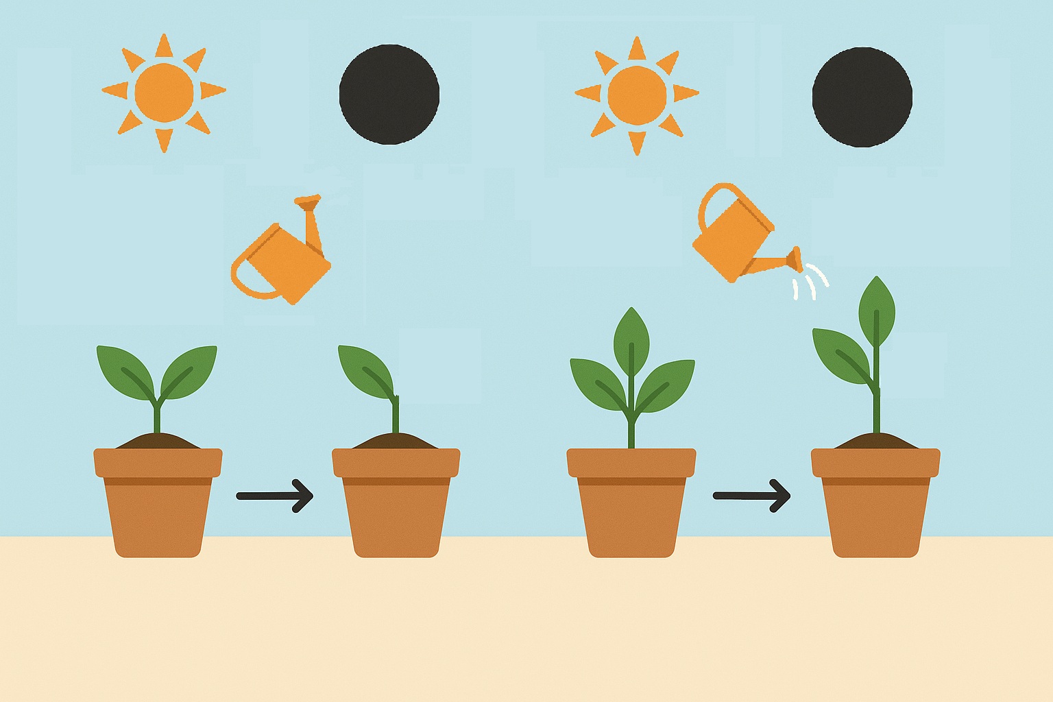 Course Image Podstawy pracy empirycznej | Introduction to empirical work 2025/26 - Aleksandra Kwaśnicka